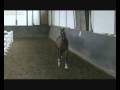 videos de Boston (Bob senior!)