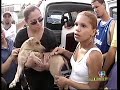 12 oct 2007: animales masacrados eran de barceloneta