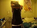 Tutting tutorial pt. 1