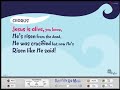 Celebrate - Words on Screen™