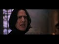 Severus Snape and Harry Potter