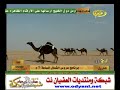 ام طلال شكواي فيديو كليب روعه