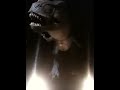 Jurrasic Park