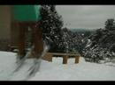 More Backyard