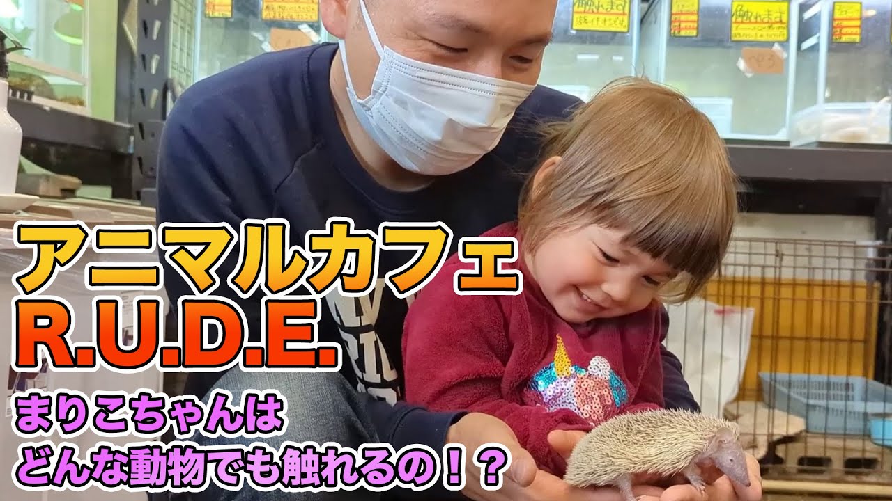 動画2
