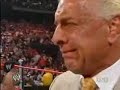 33108 WWE RAW Ric Flair\