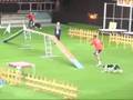 Practise before world championships in agility 2008