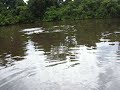 Amazon trip - Bolivia