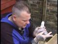rob woolliss eyesign tips