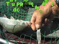 salmon-tyee-attack-underwater-trolling-fbr-downrigger-big.html