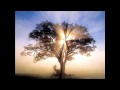 Ars amandi-Testigo mudo