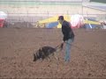 Erko tracking.wmv