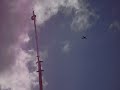 Esquadrilha da Fuma�a