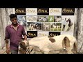 9391231118 #marwad baby horse #kids for sale #Marwari #ghode k bachche for sale #horse for sale 2021