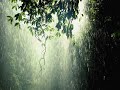 Relaxing Rain Music With Harp