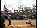 Carambolage Mixed 2008
