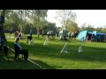 Agility -Tunier 17.04.10 Ilvesheim A-Lauf 3.Platz Melanie+Kischa