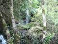 La naturaleza (Curanilahue)