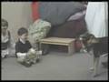 Effects of Animal Assisted Therapy on Autism (Video 2 of 5)