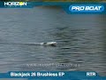 Pro Boat Blackjack 26 Brushless RTR