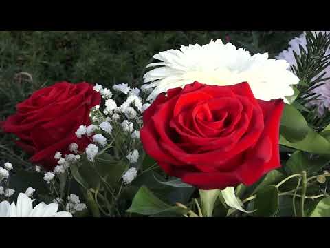 Данас се навршава пет година од смрти новинара Милоша Лукића