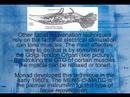 facial-rejuvenation-with-microcurrent-stimulation.html