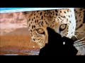 Windows 7 Presentacion (Espa�ol)