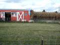 videos de MOV01026.MPG