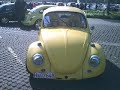 Käfer treffen 2008 Käfer treffen 2008