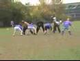 cobras vs masters LIFFL game highlights