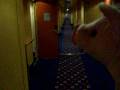 videos de N' Gris tvingas ta i med hårdklövarna på Silja Europa.