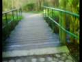 Wandse Wanderweg Teil 2