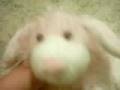 videos de BIg Mac Rap