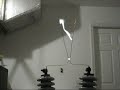 Pole Pig Fun