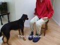Light Switch with Extension-for service dogs that are having trouble pt 3
