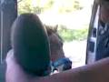 videos de LLEVALO A CASA.3gp