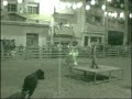 Pichas El Recortador - Novallas Pichas El Recortador - Novallas