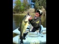 Ver Video