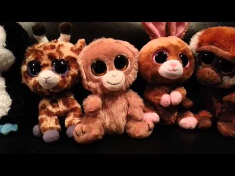 how to collect beanie boos