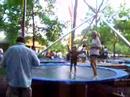 Drake On The Trampoline