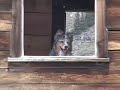 Animas Forks, Colorado - Ghost Town, San Juan Mountains