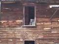 Animas Forks, Colorado - Ghost Town, San Juan Mountains