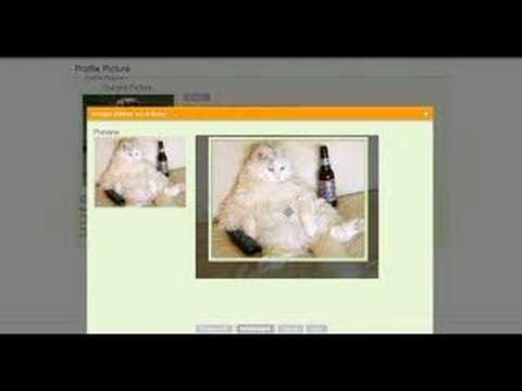 Jquery Resizable Swfupload Drupal Module All fixed Jquery Resizable Swfupload Drupal Module All fixed