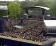 videos de S Club 7 - Don't Stop Movin (Live) - Jo O'Meara