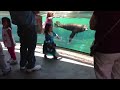 Enlace a ¿Está bien la niña? pensó el león marino