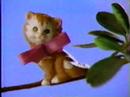 1992 Pet Pals Skipper & Courtney Dolls Commercial