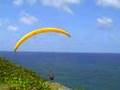 Paul Nugent Soaring Barbados