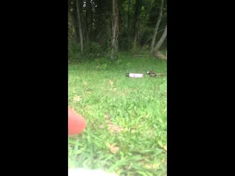 how to practice bowfishing