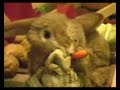 Senor Coconut - Showroom Dummies / The Robots