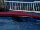 Pool Partay. XD